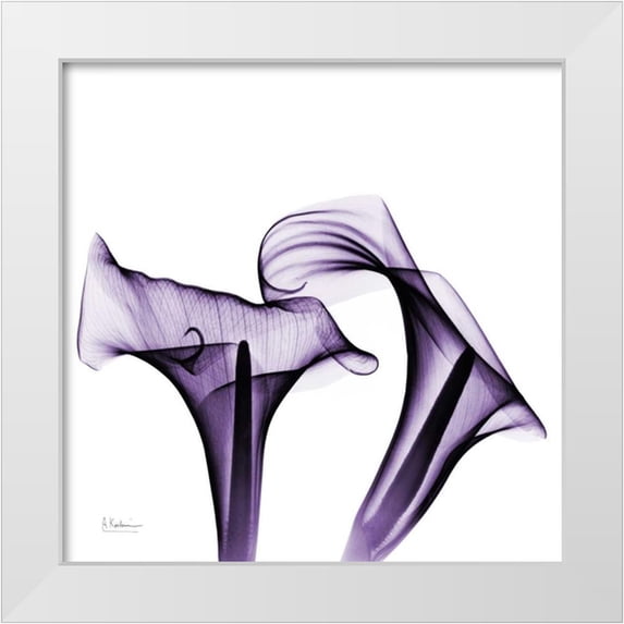 Koetsier, Albert 15x15 White Modern Wood Framed Museum Art Print Titled - Violet Calla Twins