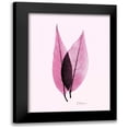 thumbnail image 1 of Koetsier, Albert 15x18 Black Modern Framed Museum Art Print Titled - Caplulin Cherry Pink, 1 of 5