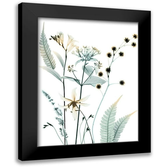Koetsier, Albert 15x18 Black Modern Framed Museum Art Print Titled - Proud Growth 2