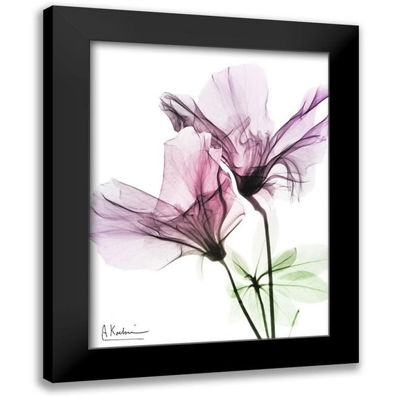 Koetsier, Albert 15x18 Black Modern Framed Museum Art Print Titled - Splendid Beauty 2