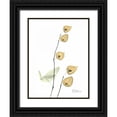thumbnail image 1 of Koetsier, Albert 15x18 Black Ornate Wood Framed with Double Matting Museum Art Print Titled - Chinese Lantern, 1 of 4