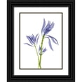 thumbnail image 1 of Koetsier, Albert 15x18 Black Ornate Wood Framed with Double Matting Museum Art Print Titled - Leucadendron E93, 1 of 4