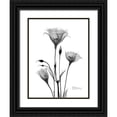 thumbnail image 1 of Koetsier, Albert 15x18 Black Ornate Wood Framed with Double Matting Museum Art Print Titled - Night Gentian 2, 1 of 4