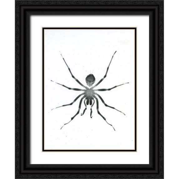 Koetsier, Albert 15x18 Black Ornate Wood Framed with Double Matting Museum Art Print Titled - Our Friendly Tarantula