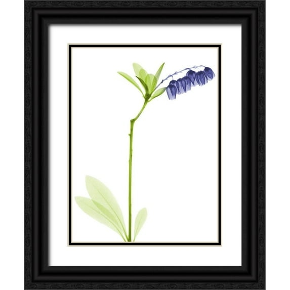 Koetsier, Albert 15x18 Black Ornate Wood Framed with Double Matting Museum Art Print Titled - Rowdy Lily Of The Vally Bush H07