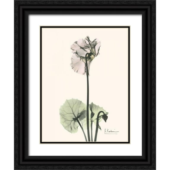 Koetsier, Albert 15x18 Black Ornate Wood Framed with Double Matting Museum Art Print Titled - Single Cyclamen