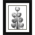 thumbnail image 1 of Koetsier, Albert 15x18 Black Ornate Wood Framed with Double Matting Museum Art Print Titled - Tulips H26, 1 of 4