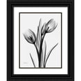 thumbnail image 1 of Koetsier, Albert 15x18 Black Ornate Wood Framed with Double Matting Museum Art Print Titled - Tulips H37, 1 of 4