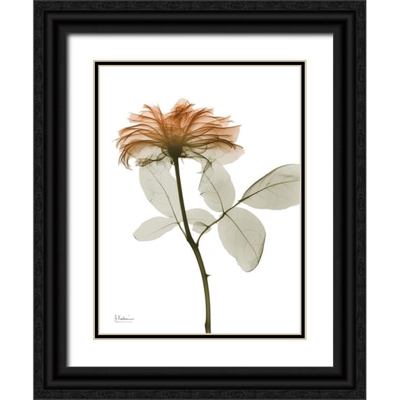 Koetsier, Albert 15x18 Black Ornate Wood Framed with Double Matting Museum Art Print Titled - Urban Rose 2