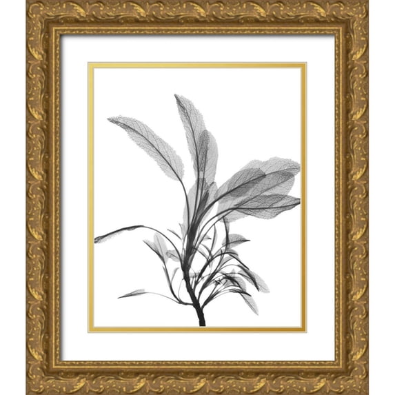 Koetsier, Albert 15x18 Gold Ornate Wood Framed with Double Matting Museum Art Print Titled - Nightly Sage