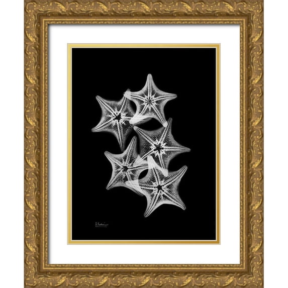 Koetsier, Albert 15x18 Gold Ornate Wood Framed with Double Matting Museum Art Print Titled - Starfish Collage