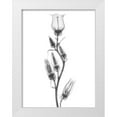 thumbnail image 1 of Koetsier, Albert 15x18 White Modern Wood Framed Museum Art Print Titled - Canterbury Bell, 1 of 4