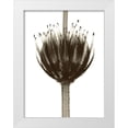 thumbnail image 1 of Koetsier, Albert 15x18 White Modern Wood Framed Museum Art Print Titled - Chocolate Crown, 1 of 4