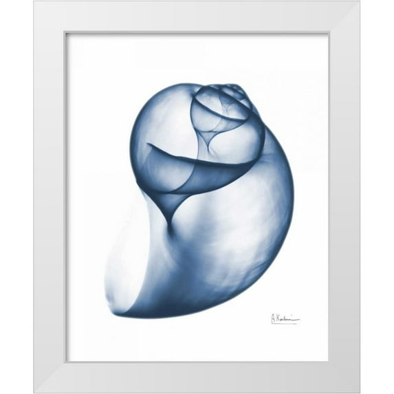 Koetsier, Albert 15x18 White Modern Wood Framed Museum Art Print Titled - Indigo Water Snail