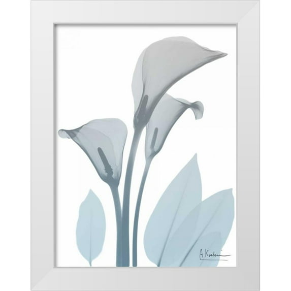 Koetsier, Albert 15x18 White Modern Wood Framed Museum Art Print Titled - Serene Calla Lily