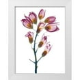 thumbnail image 1 of Koetsier, Albert 15x18 White Modern Wood Framed Museum Art Print Titled - Summer Foxglove, 1 of 4