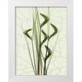 thumbnail image 1 of Koetsier, Albert 15x18 White Modern Wood Framed Museum Art Print Titled - Toned Greens 1, 1 of 4