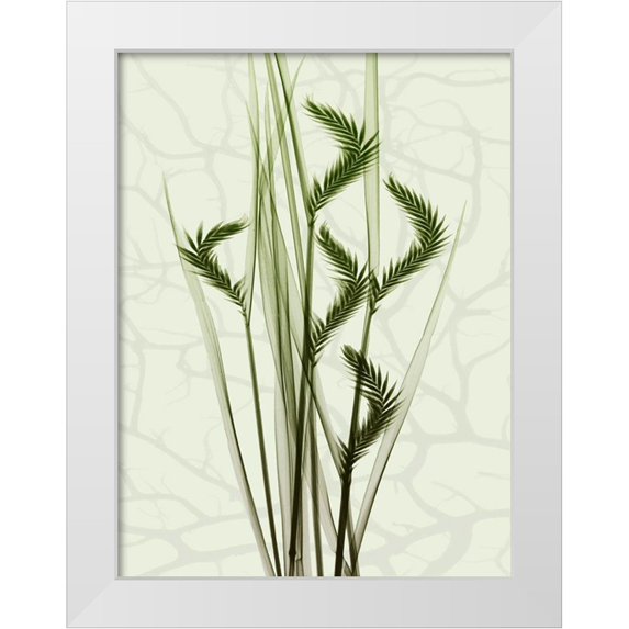 Koetsier, Albert 15x18 White Modern Wood Framed Museum Art Print Titled - Toned Greens 1