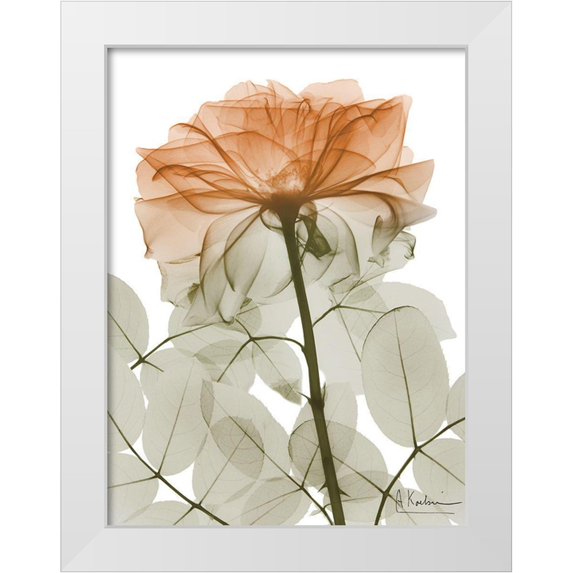 Koetsier, Albert 15x18 White Modern Wood Framed Museum Art Print Titled - Urban Jungle Rose 2
