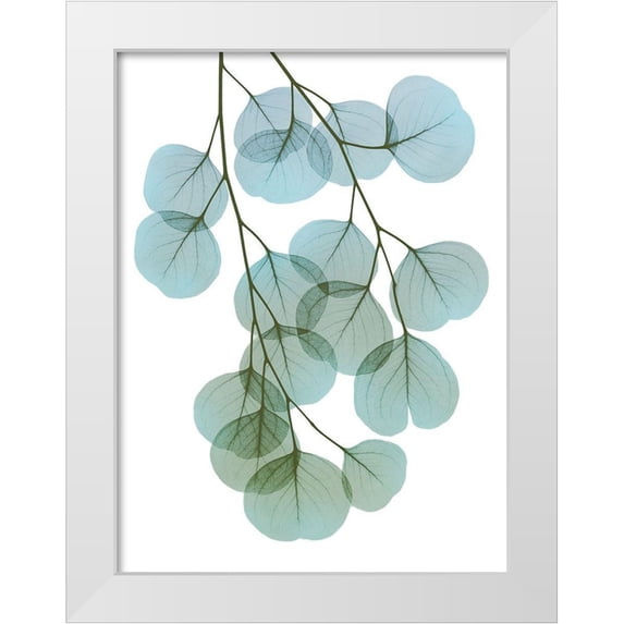 Koetsier, Albert 15x18 White Modern Wood Framed Museum Art Print Titled - Vibrant Eucalyptus 2