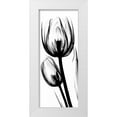 thumbnail image 1 of Koetsier, Albert 15x32 White Modern Wood Framed Museum Art Print Titled - Tulip in BandW, 1 of 4