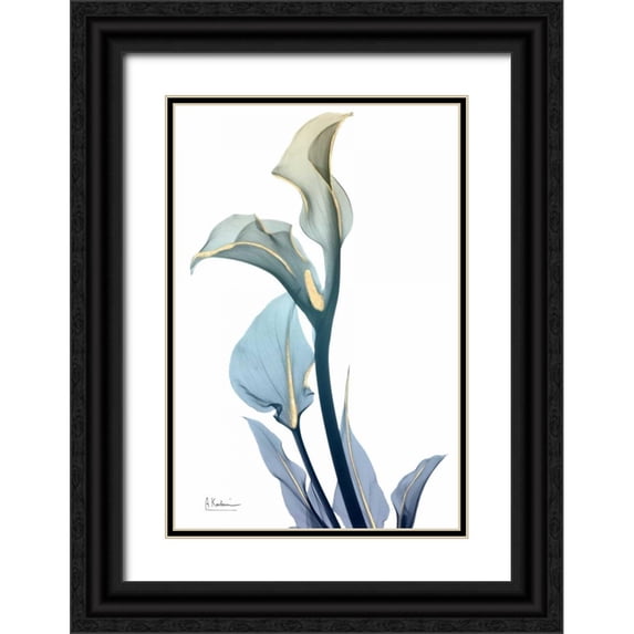 Koetsier, Albert 17x24 Black Ornate Wood Framed with Double Matting Museum Art Print Titled - Gold Splash Calla Lily 1