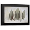 thumbnail image 1 of Koetsier, Albert 18x15 Black Modern Framed Museum Art Print Titled - Coculus Leaf L348, 1 of 5