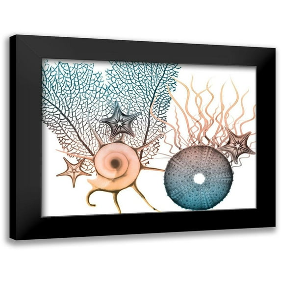 Koetsier, Albert 18x15 Black Modern Framed Museum Art Print Titled - Sea Collective 4