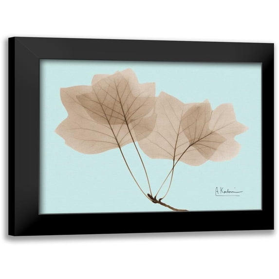 Koetsier, Albert 18x15 Black Modern Framed Museum Art Print Titled - Tulip Tree in Brown on Blue