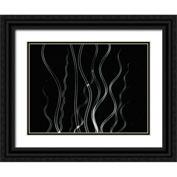 Koetsier, Albert 18x15 Black Ornate Wood Framed with Double Matting Museum Art Print Titled - Corkscrew Rush