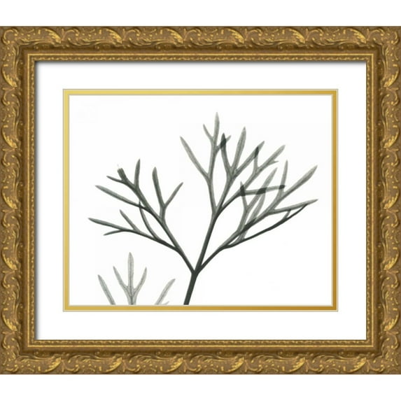 Koetsier, Albert 18x15 Gold Ornate Wood Framed with Double Matting Museum Art Print Titled - Dill in BandW