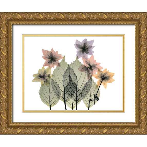 Koetsier, Albert 18x15 Gold Ornate Wood Framed with Double Matting Museum Art Print Titled - Hiding Lovelies