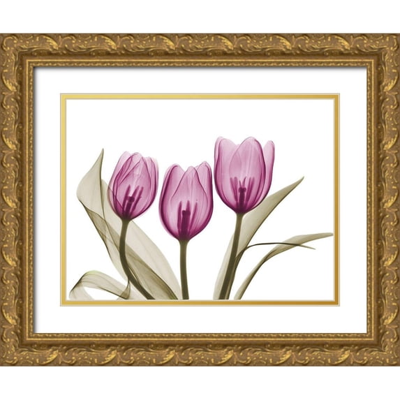 Koetsier, Albert 18x15 Gold Ornate Wood Framed with Double Matting Museum Art Print Titled - Vibrant Grouped Tulips
