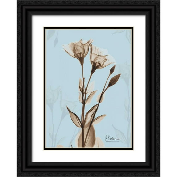 Koetsier, Albert 18x24 Black Ornate Wood Framed with Double Matting Museum Art Print Titled - Tulips Brown on Blue