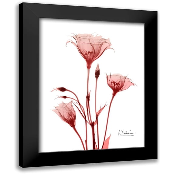 Koetsier, Albert 19x24 Black Modern Framed Museum Art Print Titled - Marvelous Gentian 2