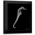 thumbnail image 1 of Koetsier, Albert 19x24 Black Modern Framed Museum Art Print Titled - Seahorse In The Black, 1 of 5