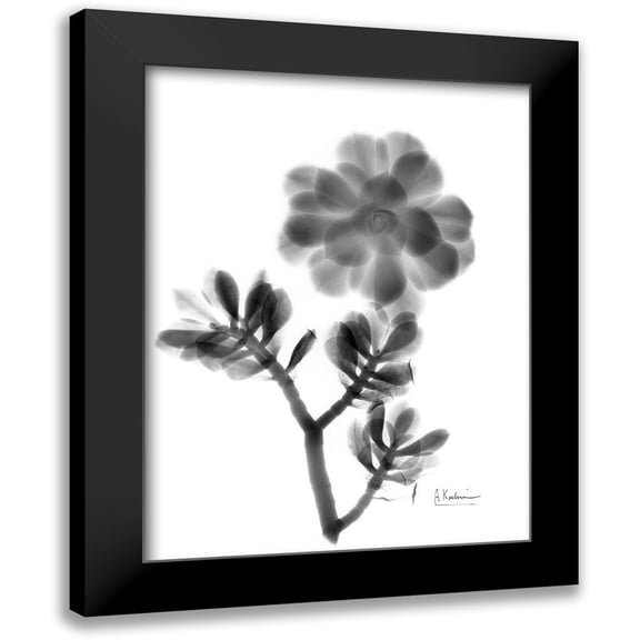Koetsier, Albert 19x24 Black Modern Framed Museum Art Print Titled - Sunset Over LaLaLand