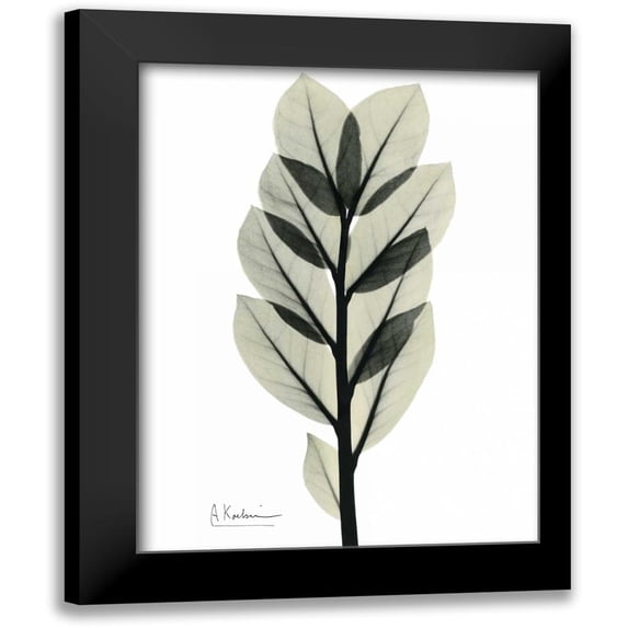 Koetsier, Albert 19x24 Black Modern Framed Museum Art Print Titled - Zan Zibar Gem