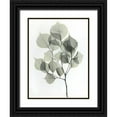 thumbnail image 1 of Koetsier, Albert 19x24 Black Ornate Wood Framed with Double Matting Museum Art Print Titled - Dalbersia 2, 1 of 4
