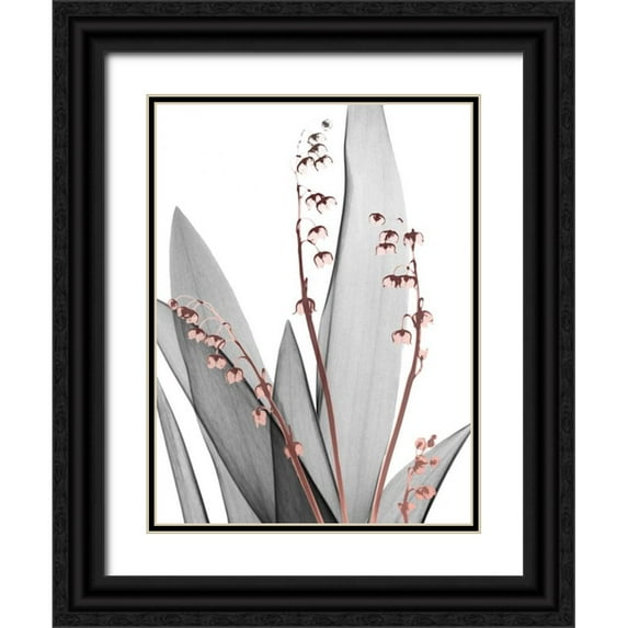 Koetsier, Albert 19x24 Black Ornate Wood Framed with Double Matting Museum Art Print Titled - Lily of the Blush 1