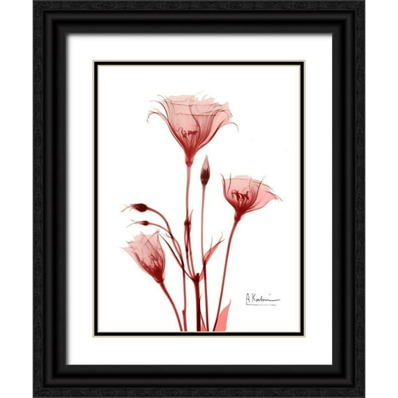 Koetsier, Albert 19x24 Black Ornate Wood Framed with Double Matting Museum Art Print Titled - Marvelous Gentian 2