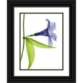 thumbnail image 1 of Koetsier, Albert 19x24 Black Ornate Wood Framed with Double Matting Museum Art Print Titled - Rowdy Hanging Tulip, 1 of 4