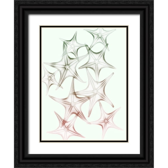 Koetsier, Albert 19x24 Black Ornate Wood Framed with Double Matting Museum Art Print Titled - Sweet Starfish 2