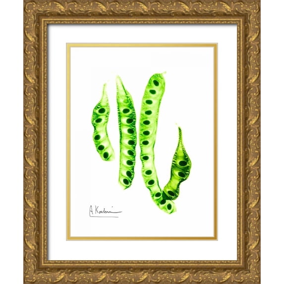 Koetsier, Albert 19x24 Gold Ornate Wood Framed with Double Matting Museum Art Print Titled - Carob Formation