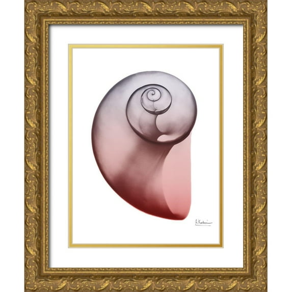 Koetsier, Albert 19x24 Gold Ornate Wood Framed with Double Matting Museum Art Print Titled - Coral Snail 2