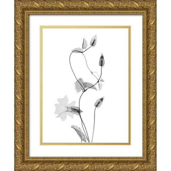 Koetsier, Albert 19x24 Gold Ornate Wood Framed with Double Matting Museum Art Print Titled - Disticta