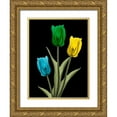 thumbnail image 1 of Koetsier, Albert 19x24 Gold Ornate Wood Framed with Double Matting Museum Art Print Titled - Jeweled Tulip Trio 4, 1 of 4