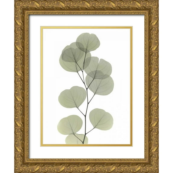Koetsier, Albert 19x24 Gold Ornate Wood Framed with Double Matting Museum Art Print Titled - Striving Eucalyptus 1