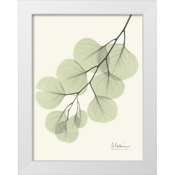 Koetsier, Albert 19x24 White Modern Wood Framed Museum Art Print Titled - Eucalyptus Leaves in Green