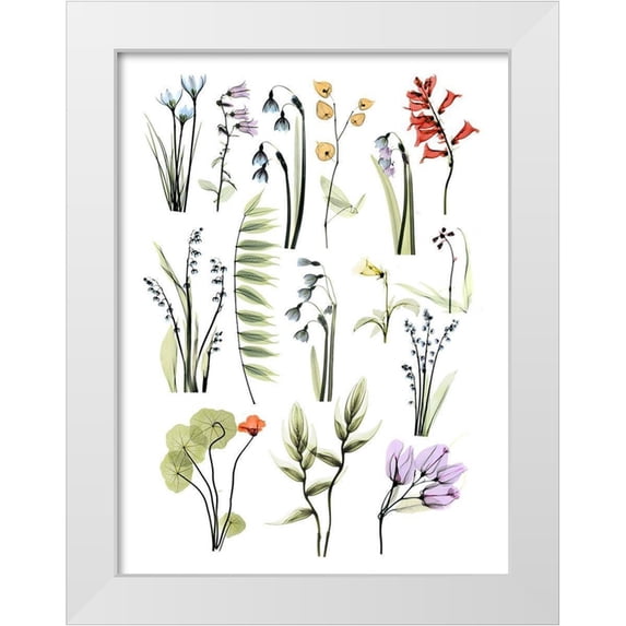 Koetsier, Albert 19x24 White Modern Wood Framed Museum Art Print Titled - Mini Zen Garden 1